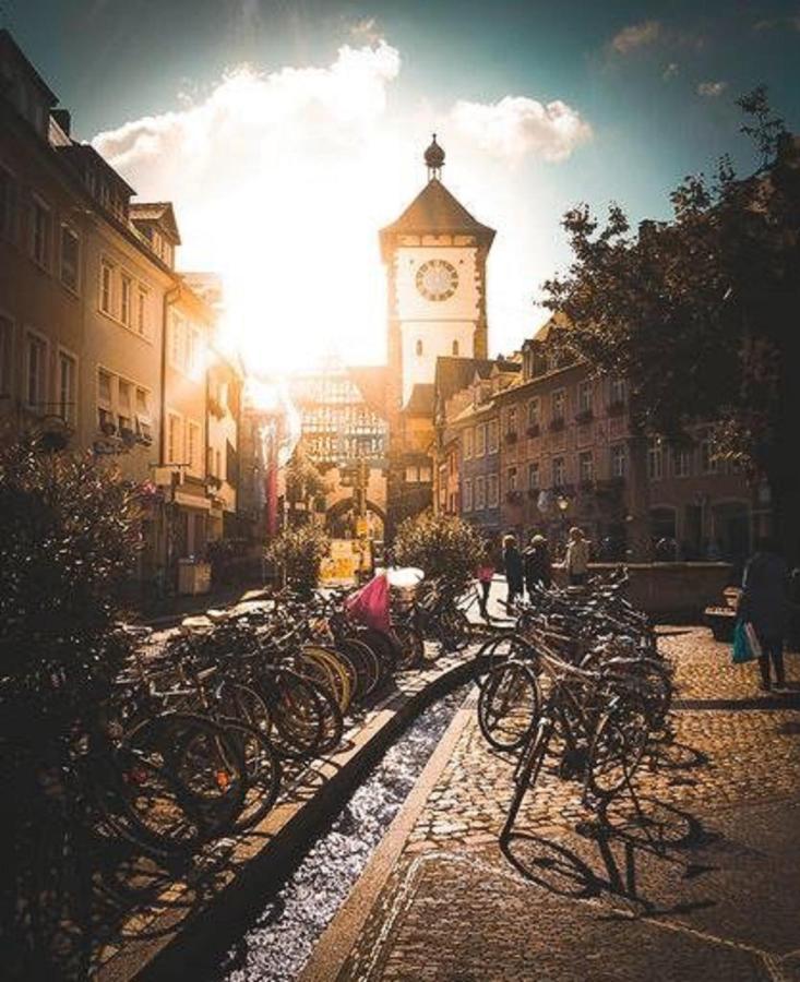 City Lux Apartment In Der Stadt Freiburg im Breisgau Exteriör bild