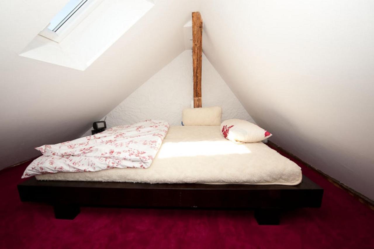City Lux Apartment In Der Stadt Freiburg im Breisgau Exteriör bild